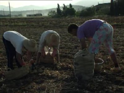 PATATAS (5)  CAMPO APEROS
